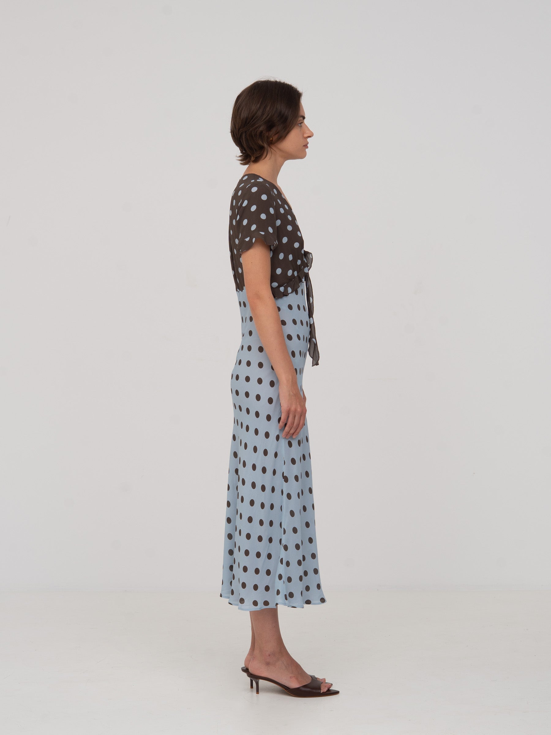 Paris Polka Dot Dress vestidos
