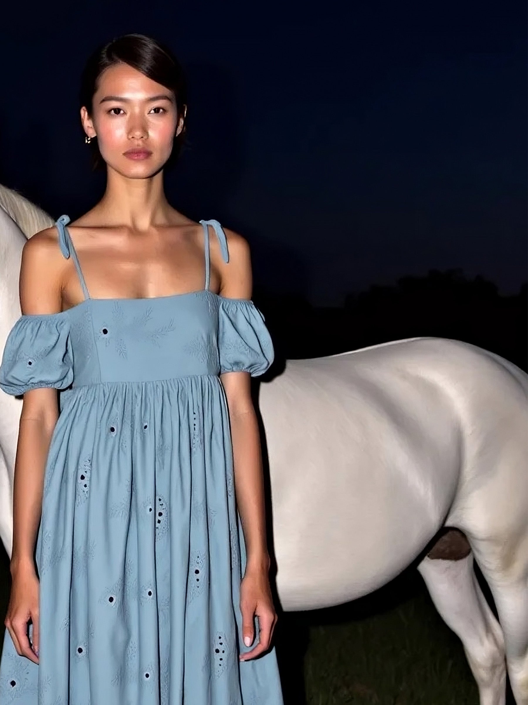 Vera Embroidered Blue Maxi Dress vestidos