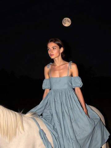 Vera Embroidered Blue Maxi Dress vestidos